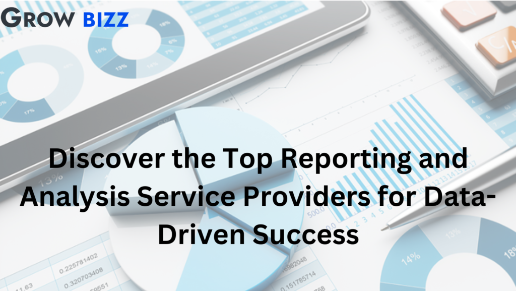 Reporting and Analysis Service Providers